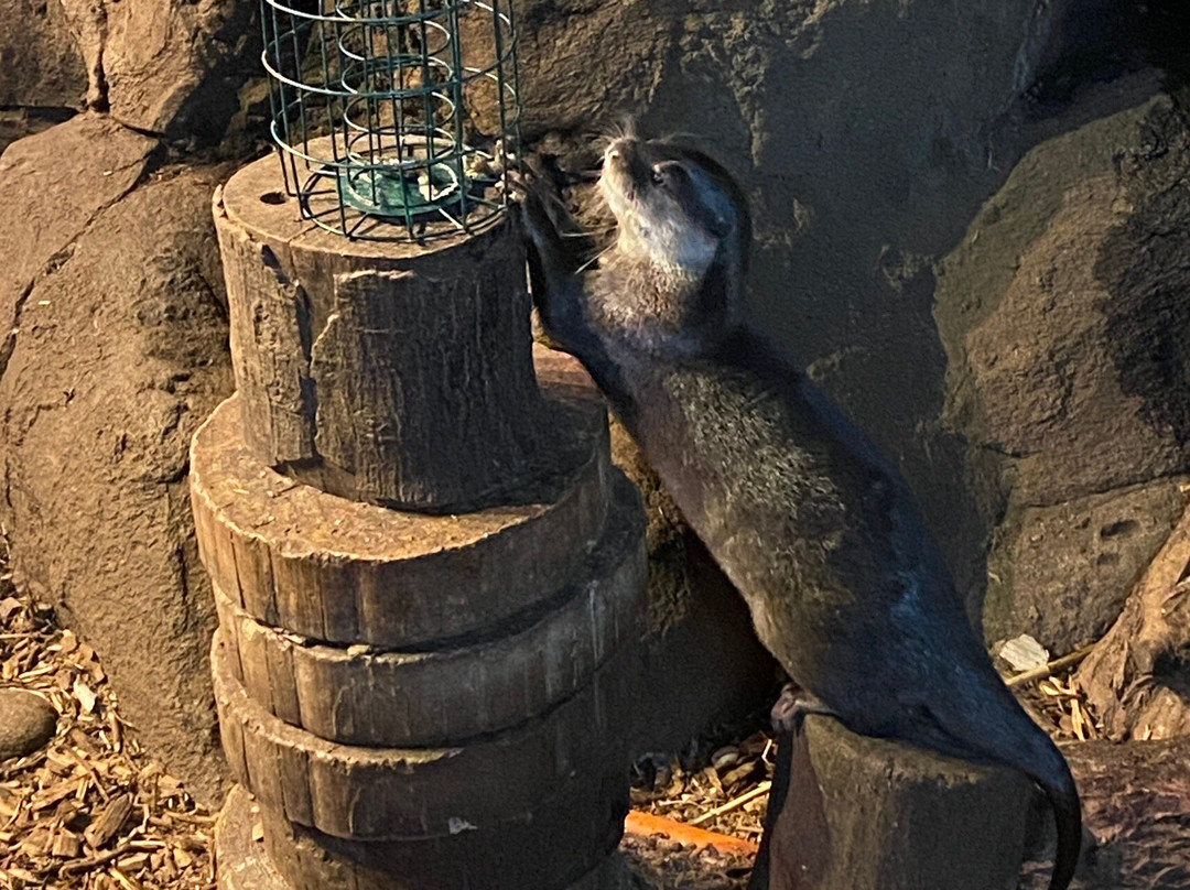 Oceanarium-伯恩茅斯必去景点