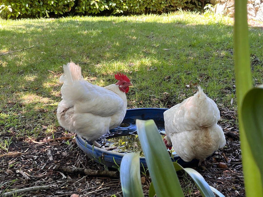 Iona Wines-Elgin必去景点