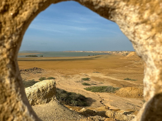Guanabana Tours-麦德林必去景点