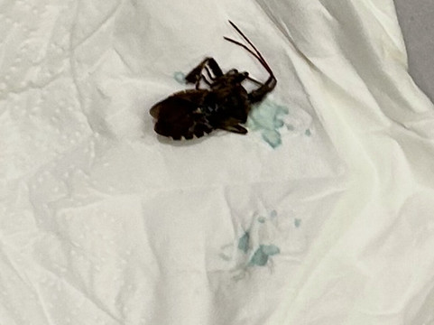 The Kefalari Suites主图