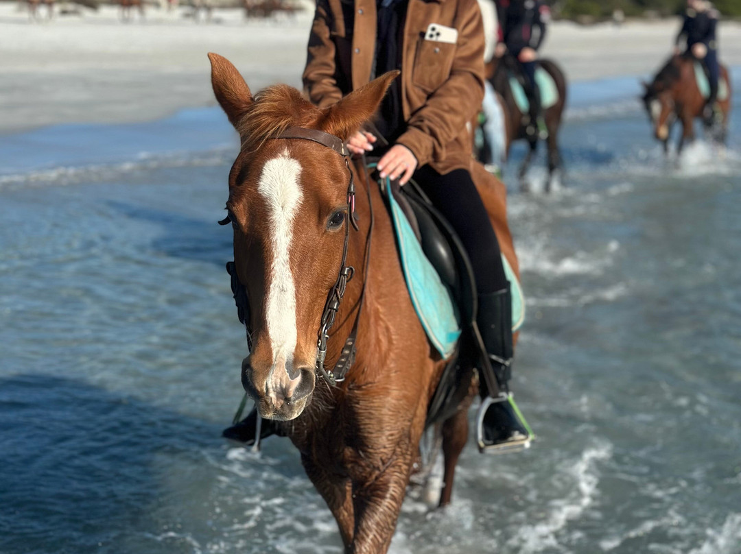Centro Ippico Meurreddus a Cuaddu-San Giovanni Suergiu必去景点