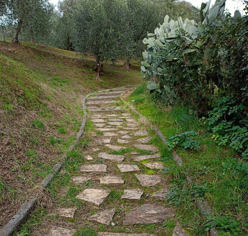 Area Archeologica Massaciuccoli Romana-Massaciuccoli必去景点