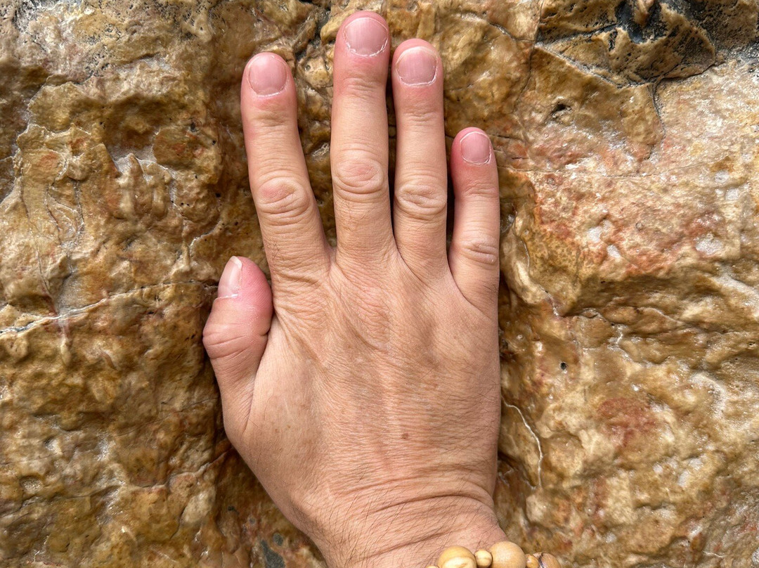 Tour with Dinur - Day Tours-耶路撒冷必去景点