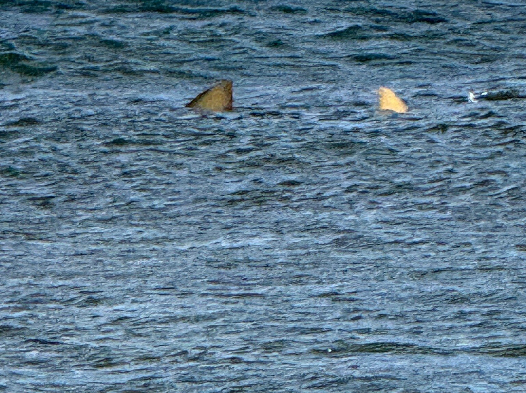 Explore Cape Verde-圣塔玛丽亚必去景点