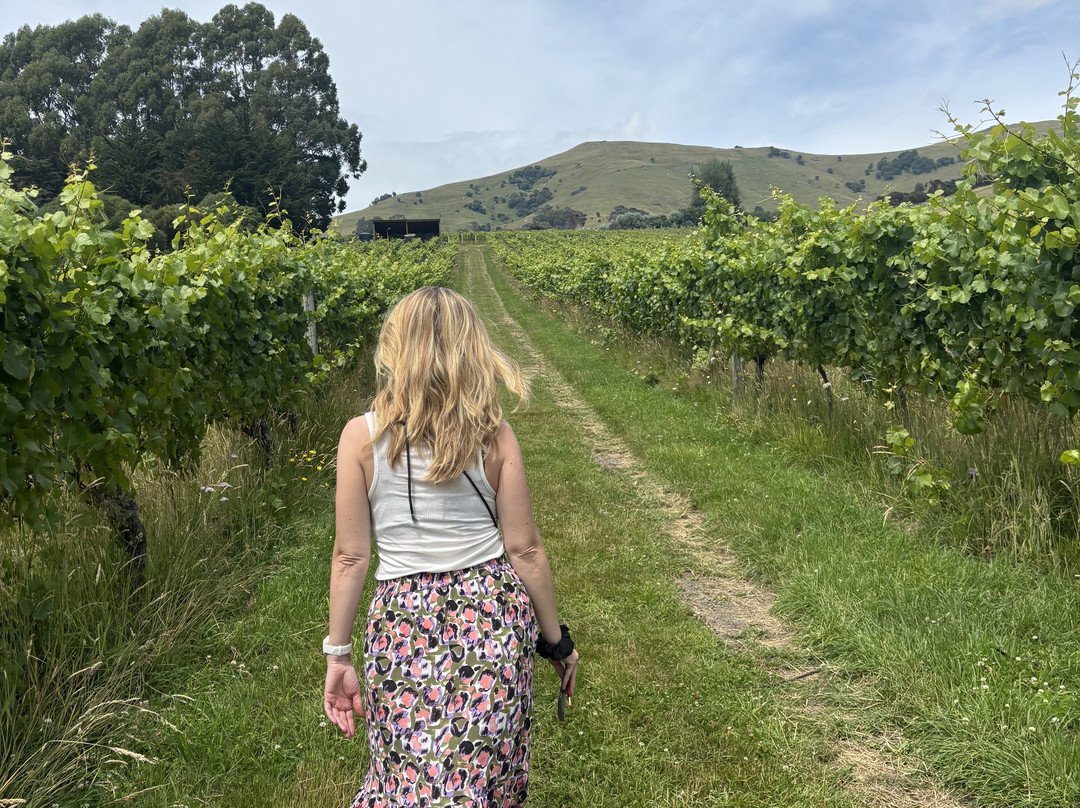 French Peak Vineyard-阿卡罗阿必去景点