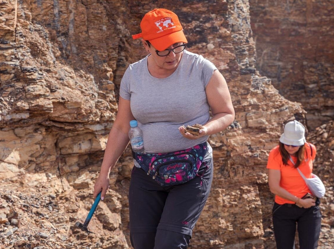 Morocco Fossil Minerals-瓦尔扎扎特必去景点