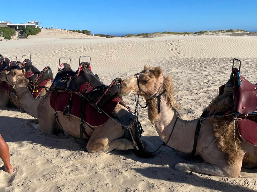 Oakfield Ranch-安娜湾必去景点