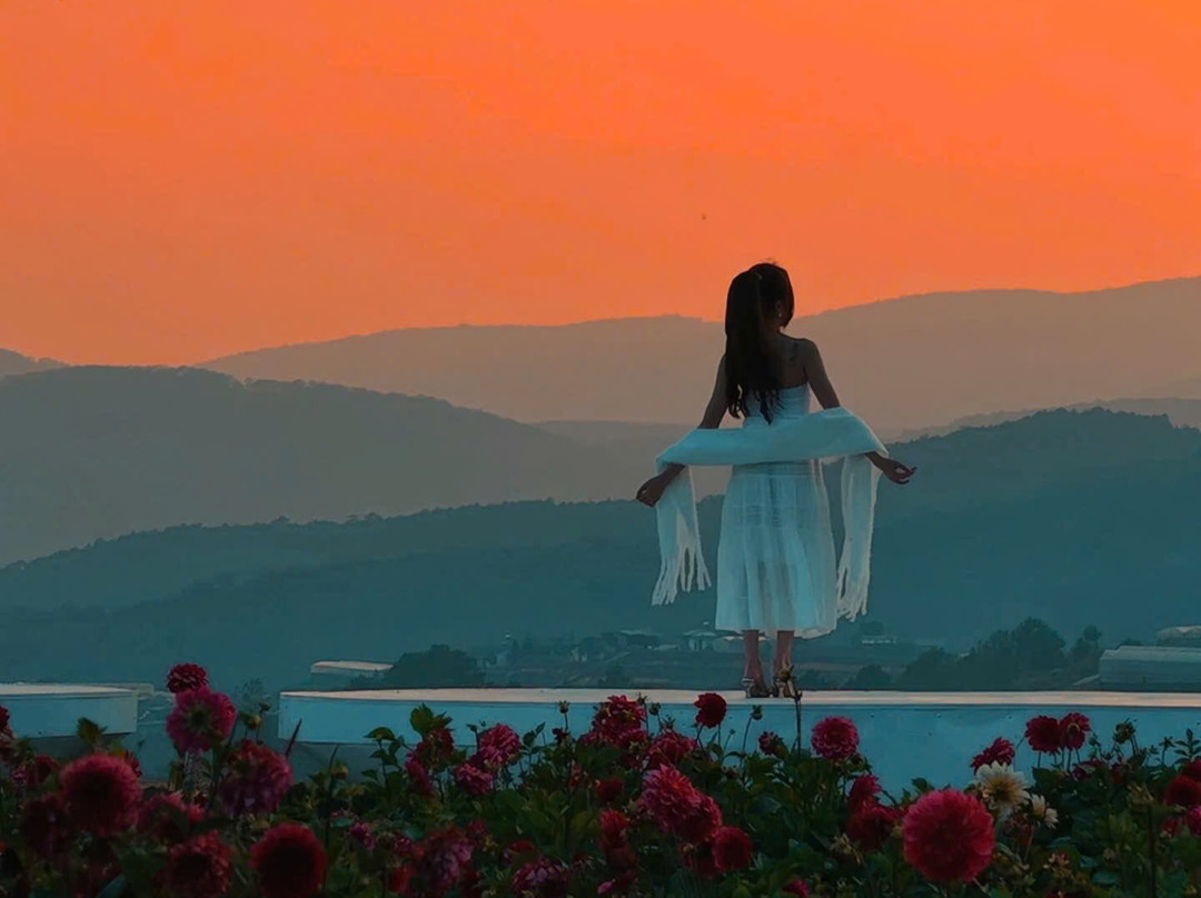 Chuyện Của Nắng