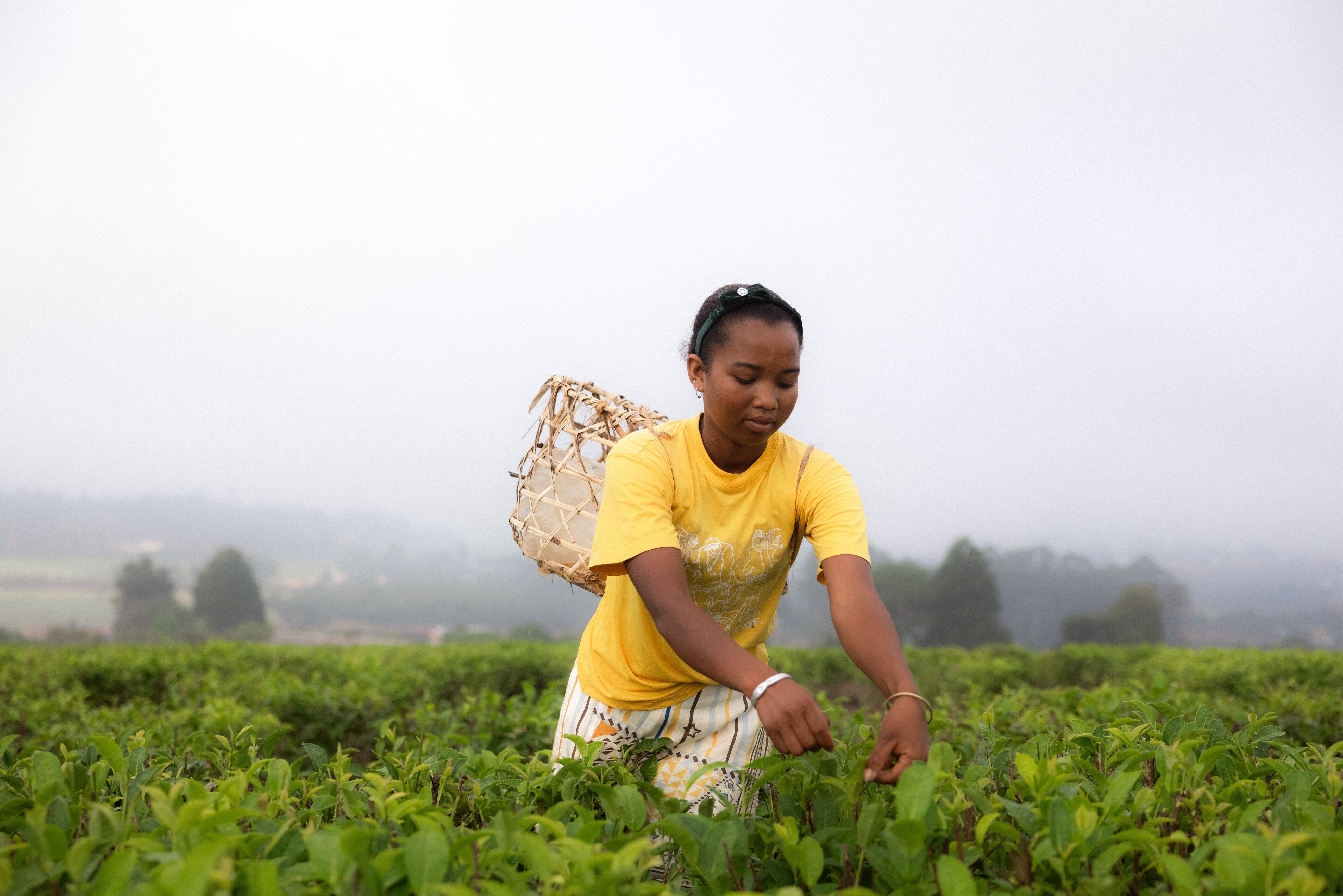 Lac Hôtel Sahambavy-官方