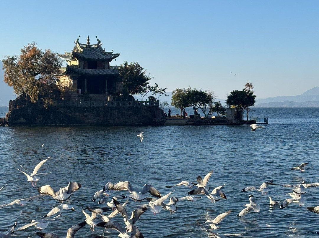 My Panda Tours-成都必去景点