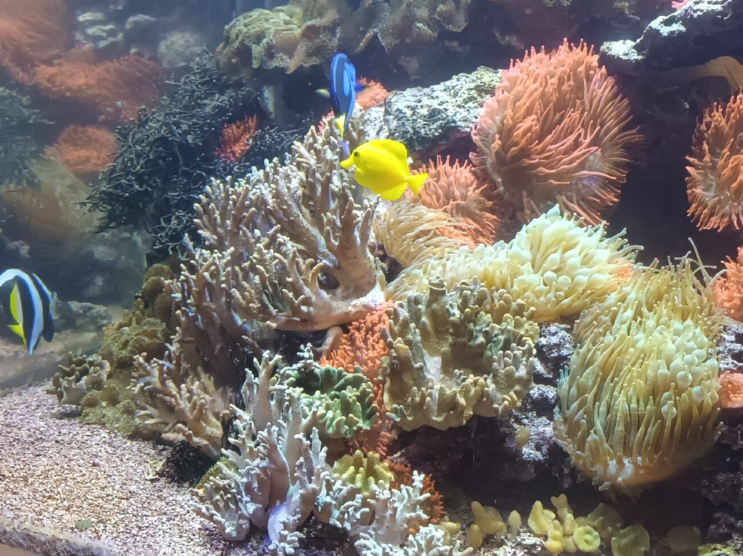 MUSE - Science Museum-特伦托必去景点