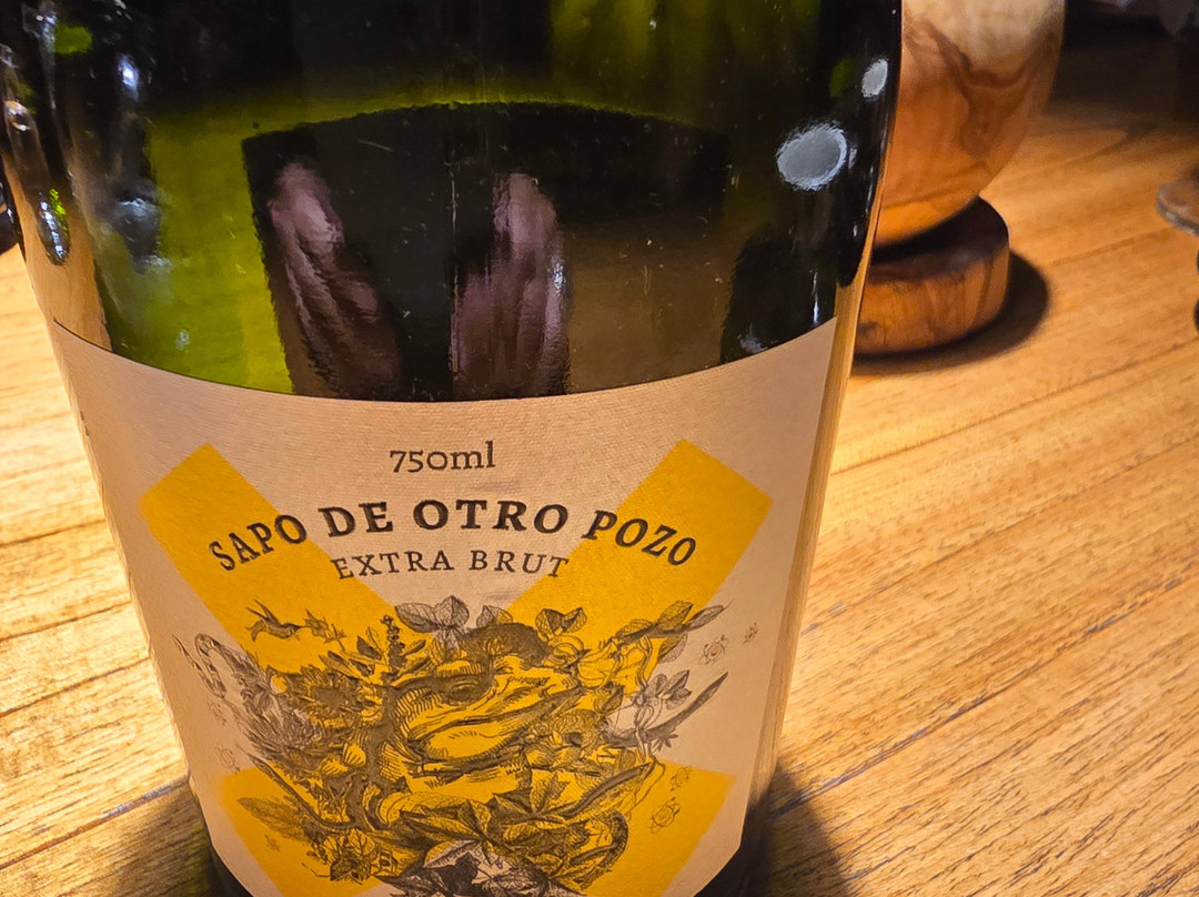 Bodega Los Toneles-门多萨必去景点