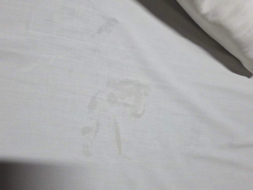 Sunlight Cruise-河内必去景点