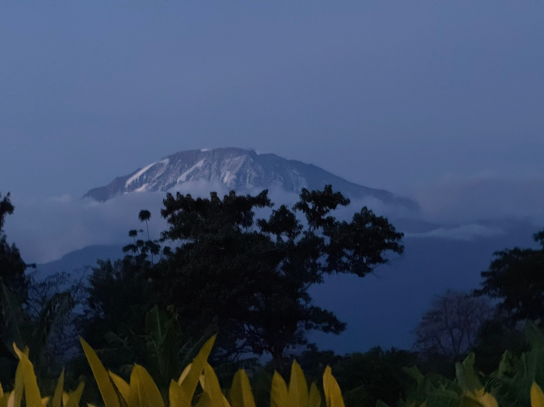 African Scenic Safaris-莫西必去景点