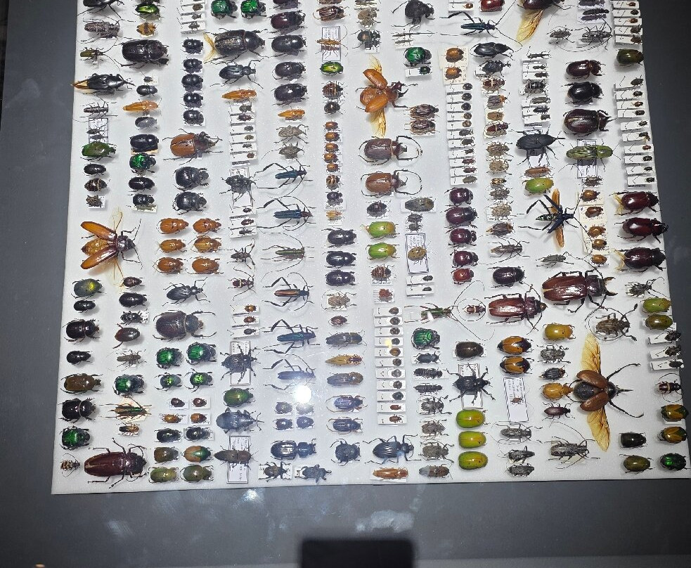 Gasometer Pforzheim-普福尔茨海姆必去景点