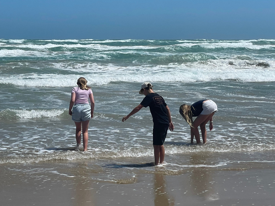 Spirit of the Coorong Cruises-Goolwa必去景点