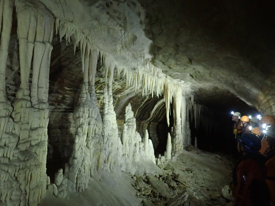 Underworld Adventures Ltd-Charleston必去景点