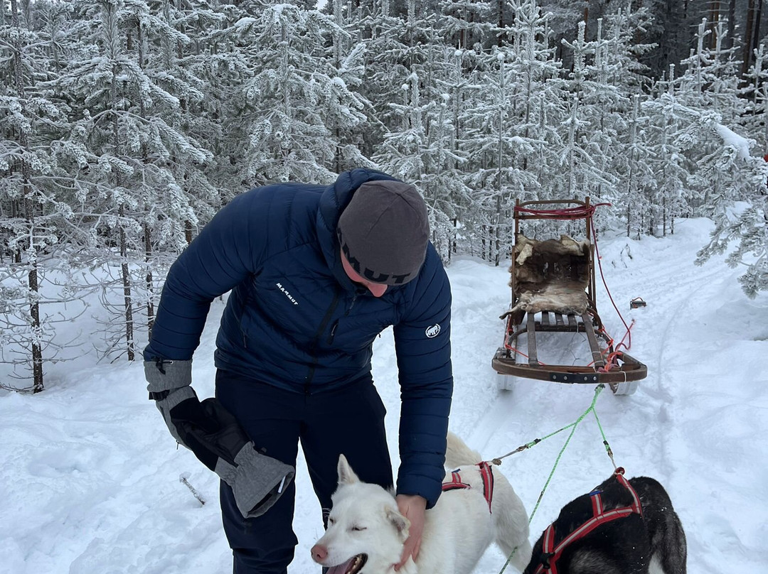 Luleå  Adventure Hundspann-Luleå必去景点