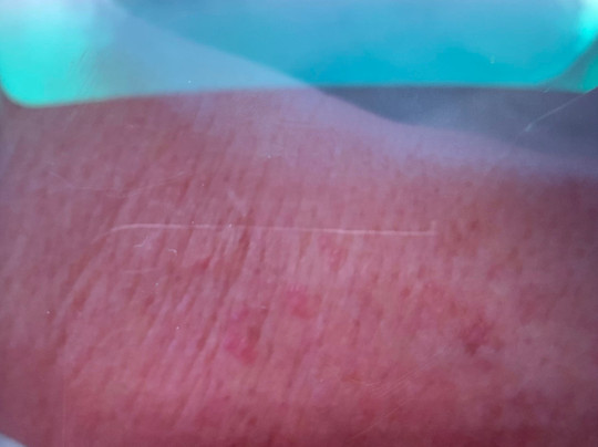 Coomera Motor Inn主图