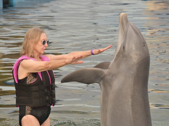 Marineland Dolphin Adventure-Marineland必去景点