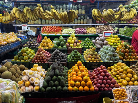 True Colombia Travel-麦德林必去景点