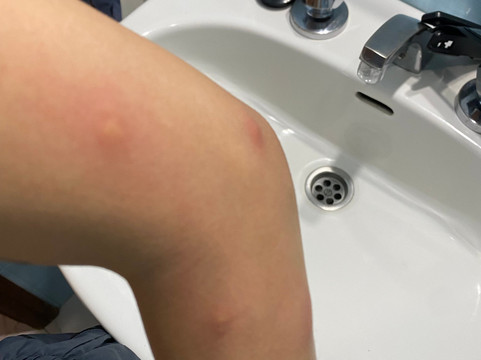 艾利马尔酒店主图