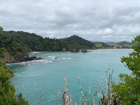 Whale Bay-Matapouri必去景点