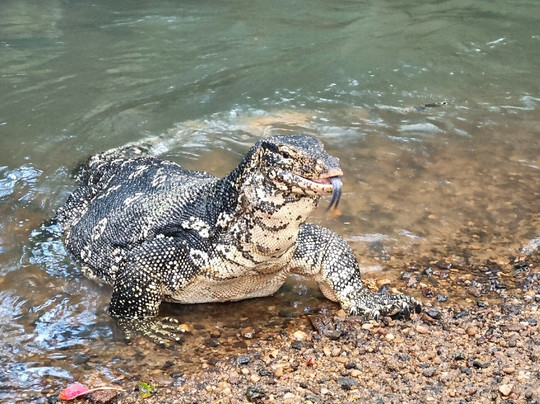 Pradeep Tours-瓦勒迦玛必去景点