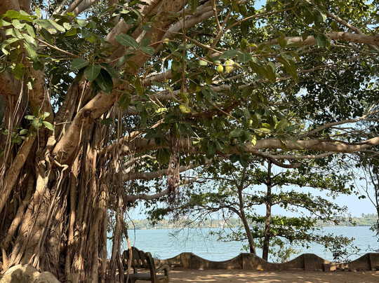 Batticaloa Fort-拜蒂克洛必去景点