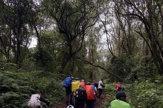 Kilimanjaro Climbing Adventure