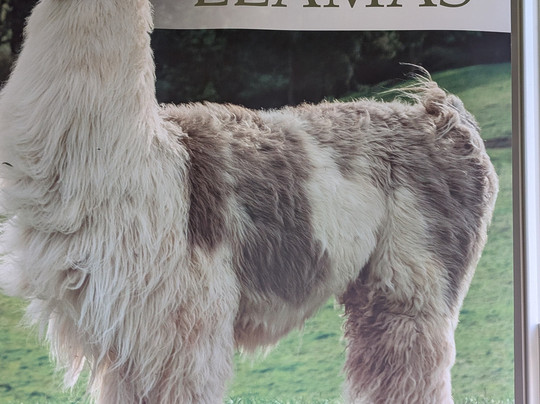 Briery Hill Llamas-Kilcot必去景点