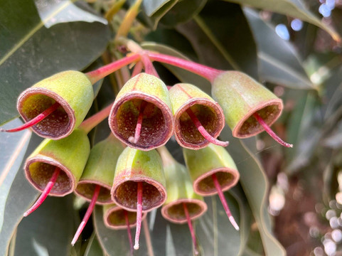 Rutter Park Memorial Reserve-Tooradin必去景点