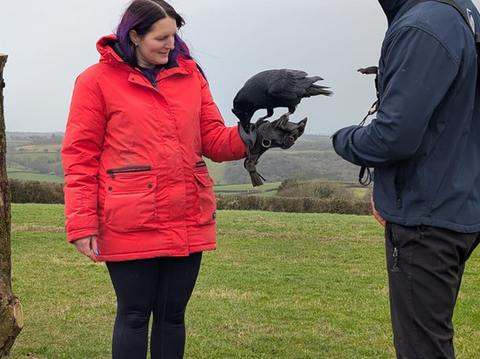 The British Bird of Prey Centre-喀麦登必去景点