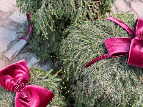 Tower of St. Olaf-维堡必去景点