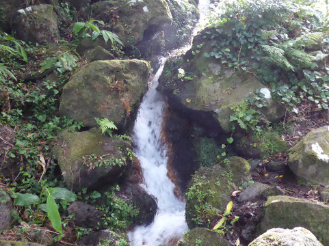 Poco da Ribeira do Ferreiro-Flores必去景点