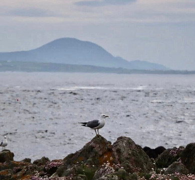 True North Boating-Culdaff必去景点