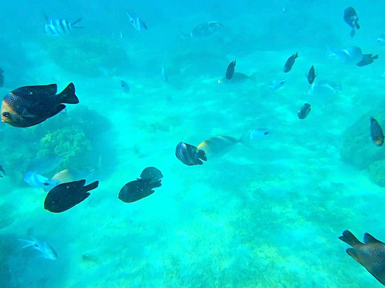 Karlos Excursions-莫纳山必去景点