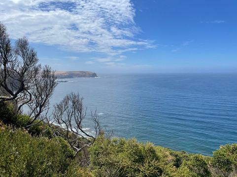 Bushrangers Bay-斯参克岬必去景点