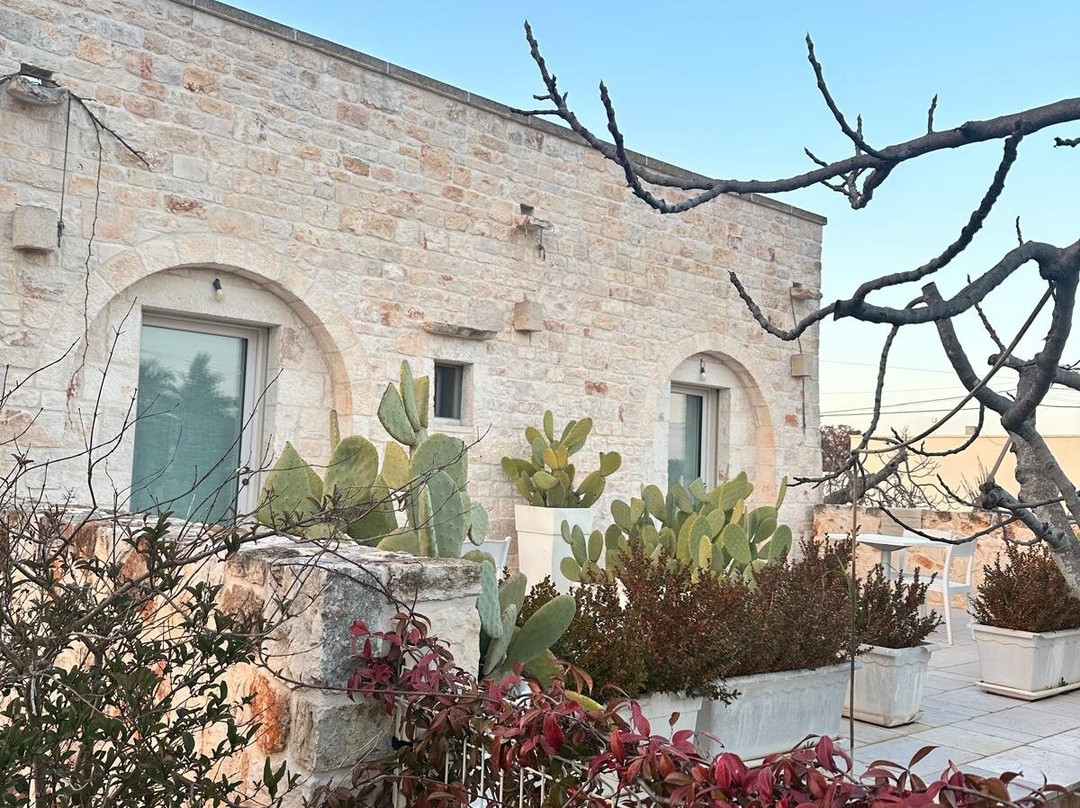 B&B Masseria Piccola主图