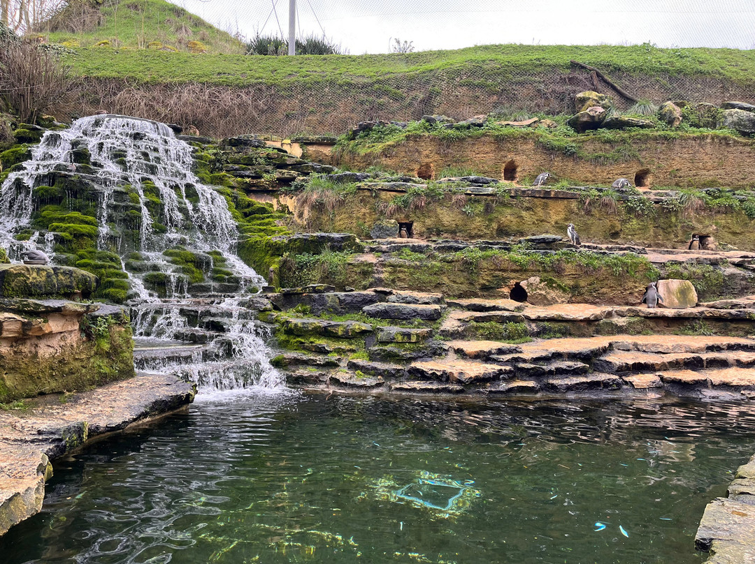 Bioparc - Zoo de Doué la Fontaine-Doue-la-Fontaine必去景点