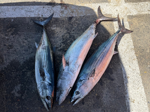 Fishing Guanaqueros-Guanaqueros必去景点