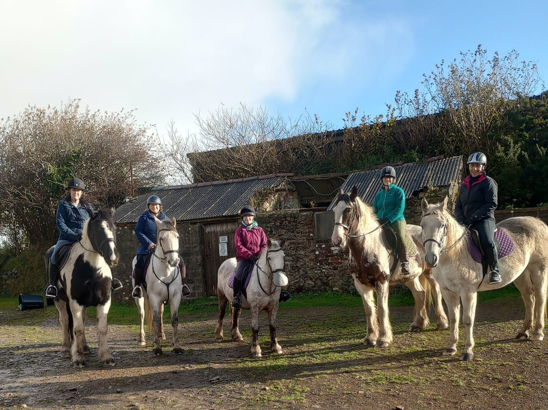 Caradon Hill Trekking and Equestrian Centre-Pensilva必去景点