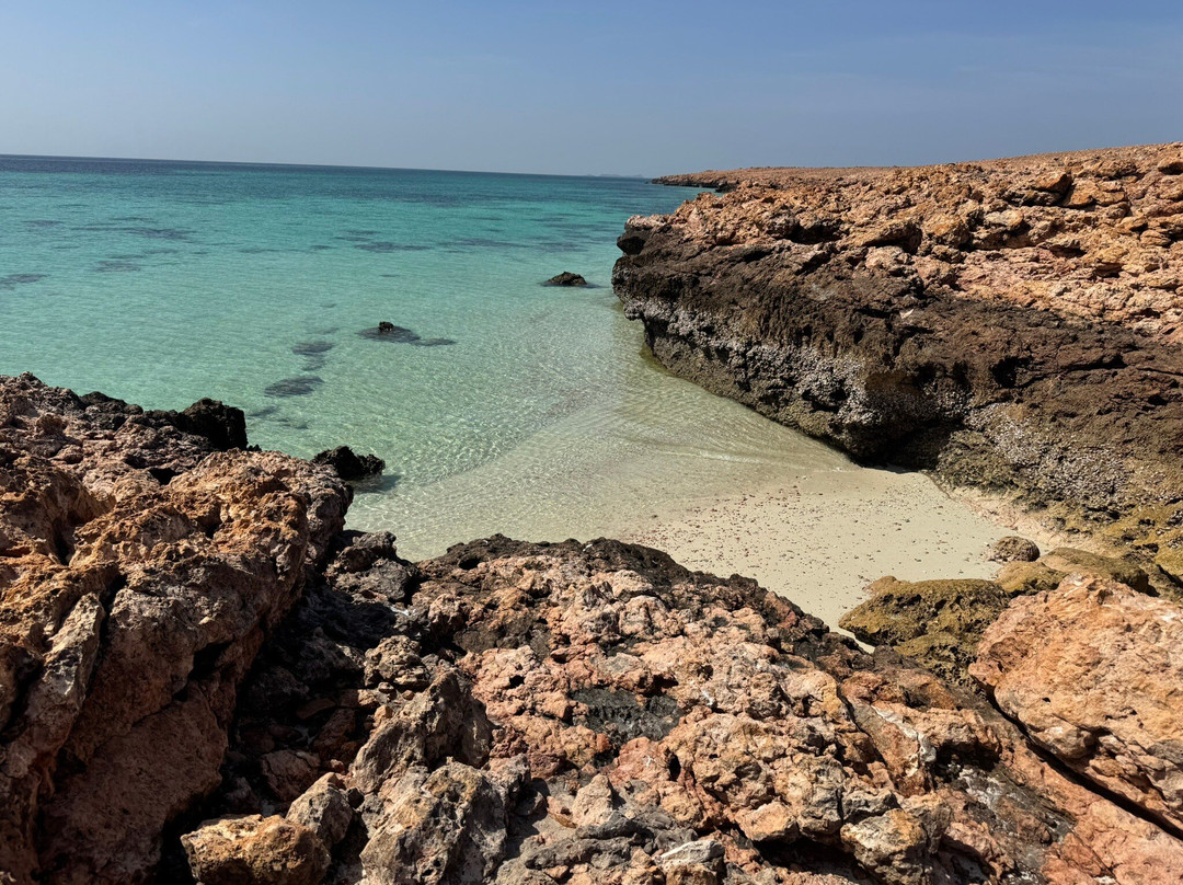 Daymaniat Shells-马斯喀特必去景点