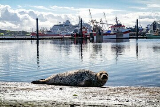 The Blue Haven Hotel-浴室