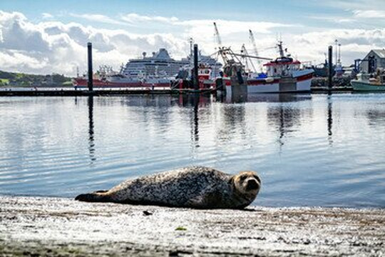 The Blue Haven Hotel主图