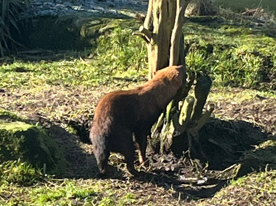 Peak Wildlife Park-Winkhill必去景点