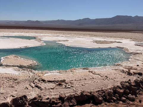 Lagunas Baltinache-圣佩德罗-德阿塔卡马必去景点