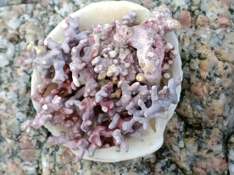 Coral Strand (Trá an Dóilín)-Carraroe必去景点