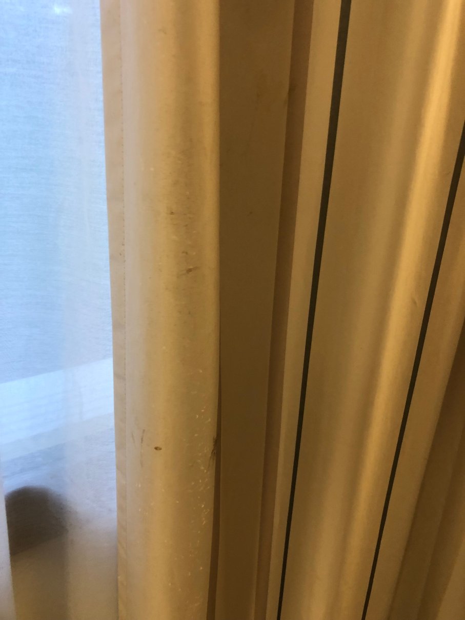 卡宴诺富特酒店-客卧