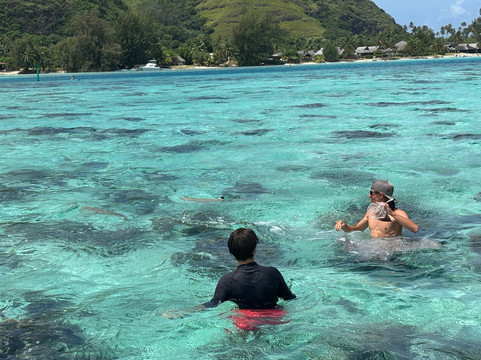 Moorea Explorer-马哈雷帕必去景点